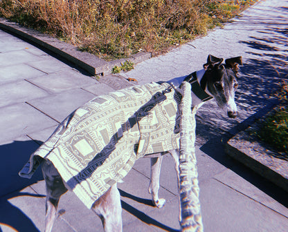 Dog Coat