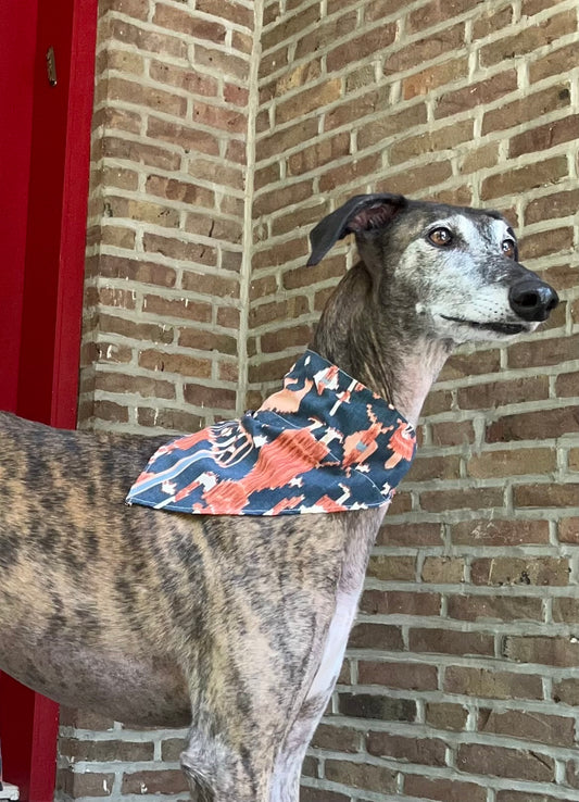 Pet Bandana